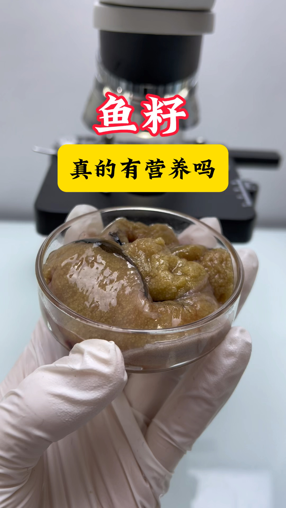 鱼籽可是营养丰富哦