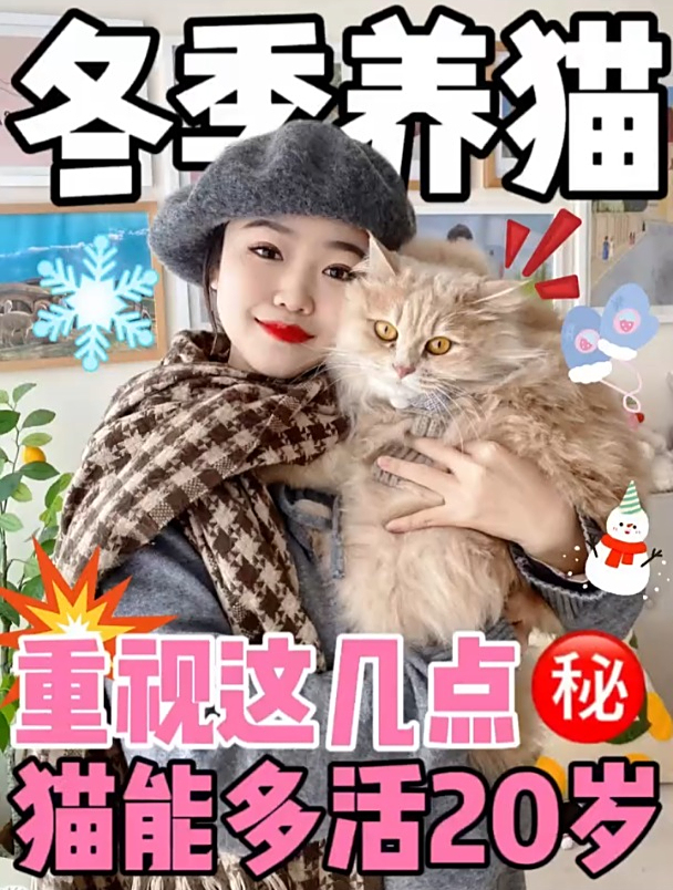 猫有这几种表现你要谨慎了