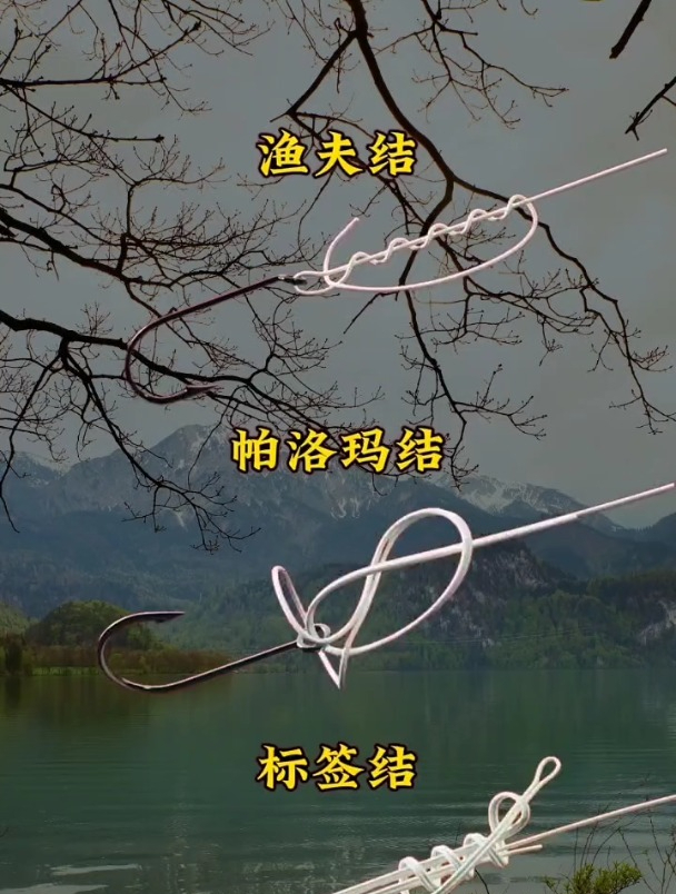 3种鱼线结绑法,究竟哪一种最结实?