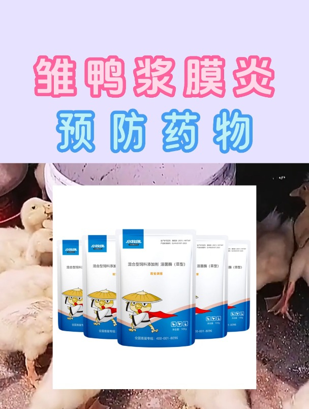 预防雏鸭浆膜炎的药物