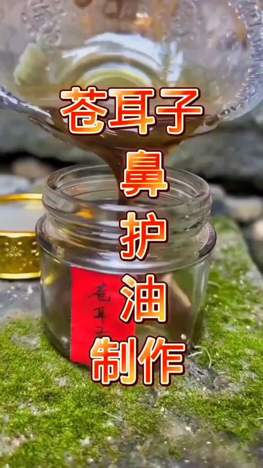 传统制作苍耳子鼻护油。