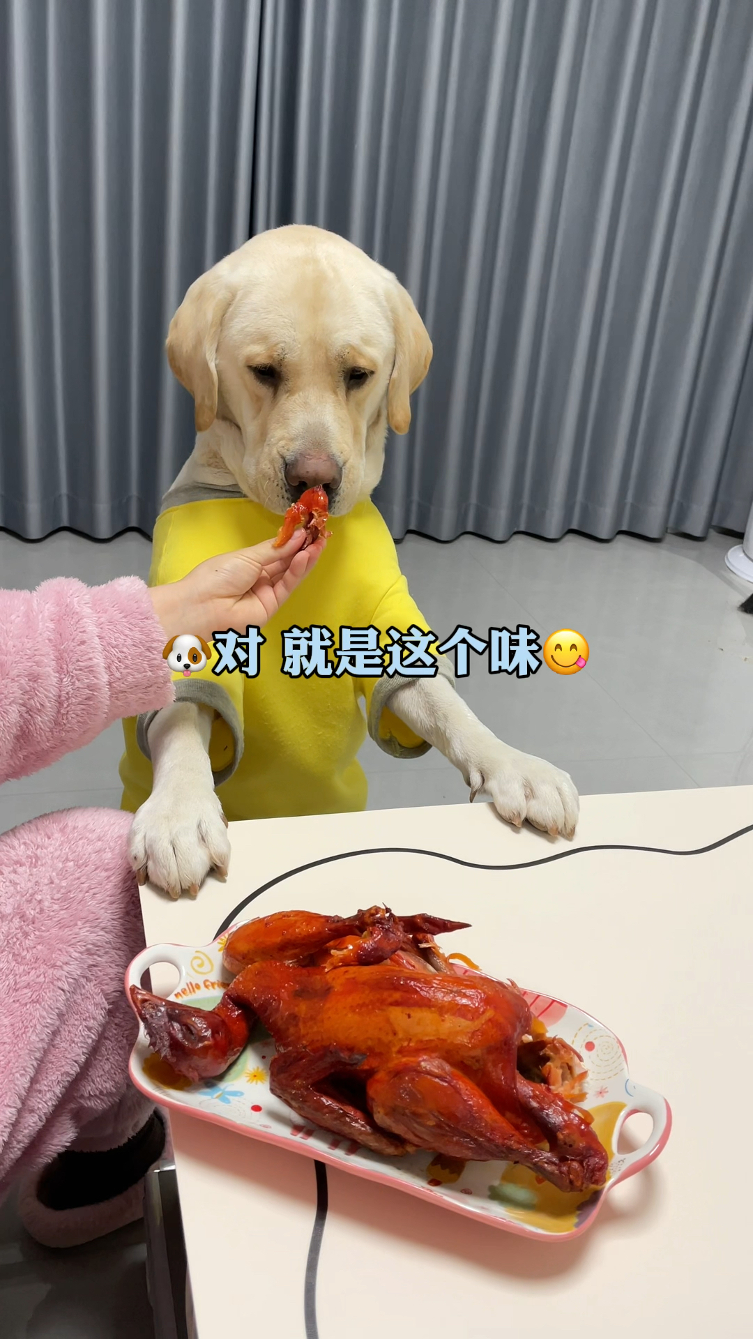 谁家好狗 爱吃鸡屁股啊～