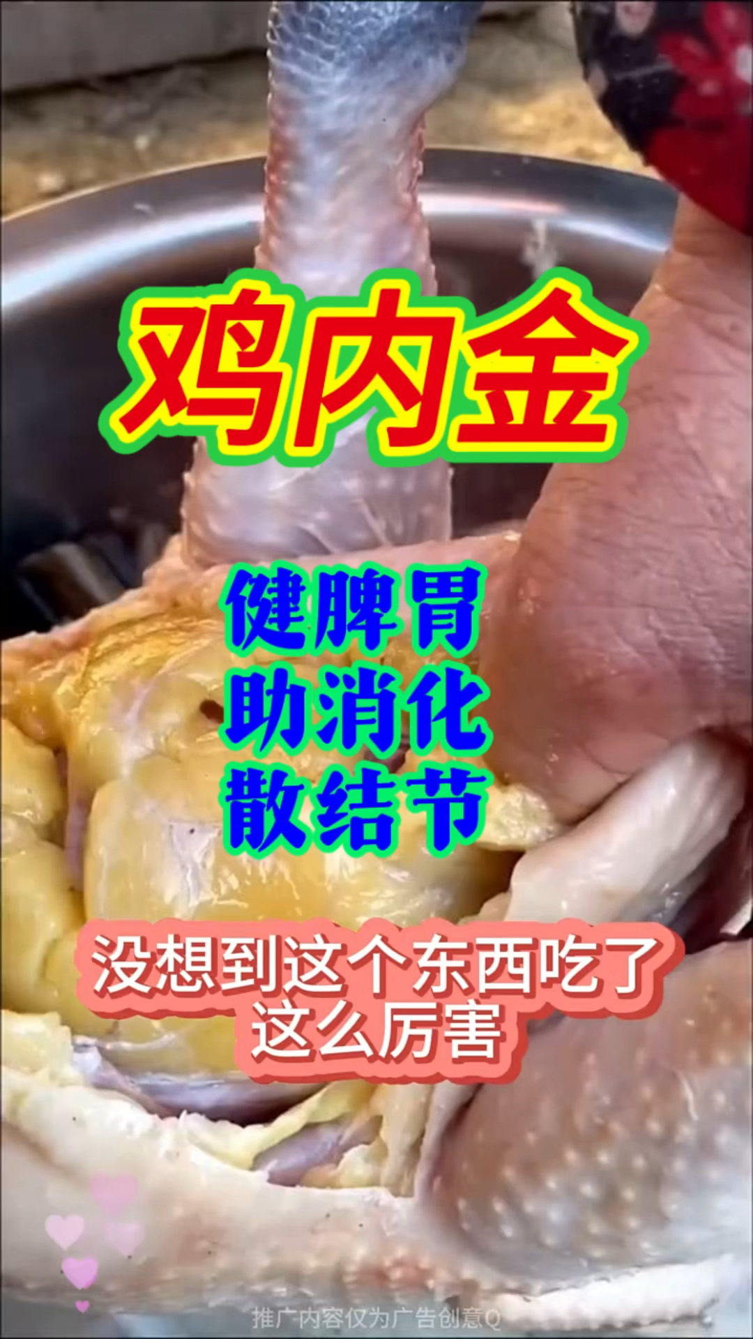 鸡内金,助消化养脾胃,大人小孩都可以吃