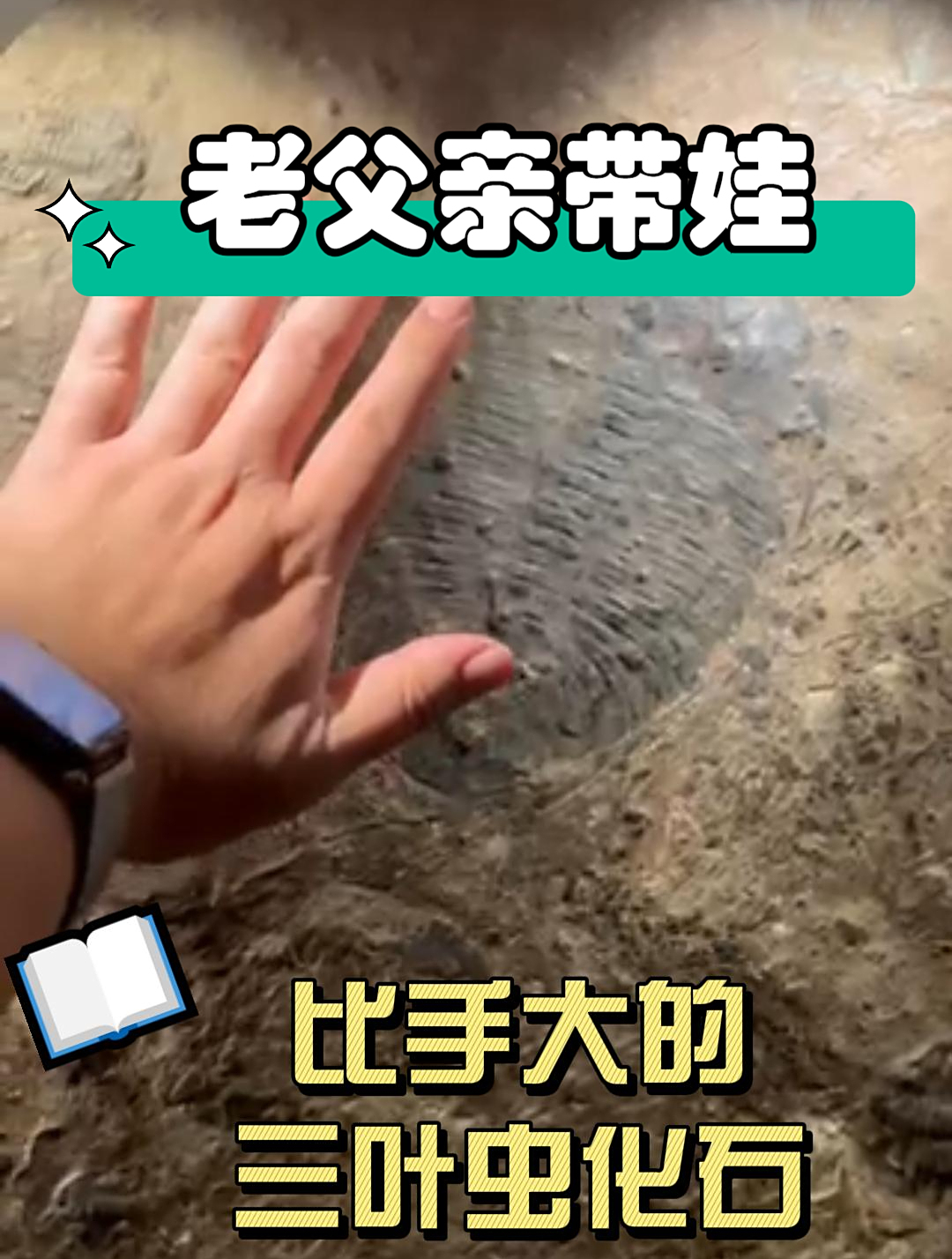 爸爸带娃但是被闺女科普:比手还大的三叶虫化石