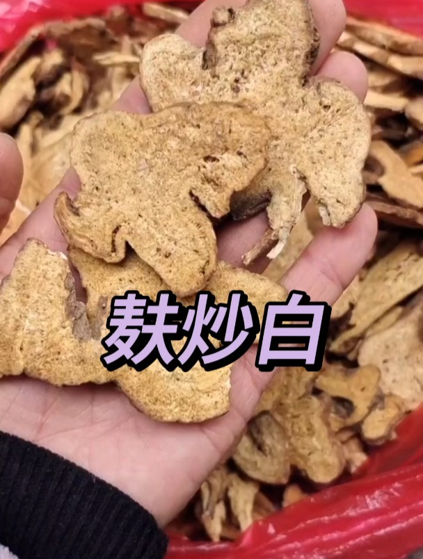 麸炒白的功效,欢迎家人们了解