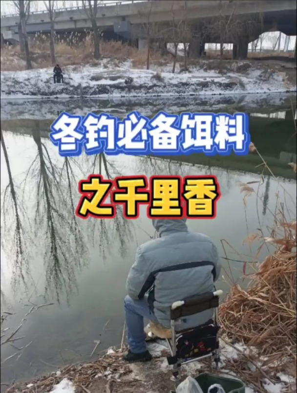冬钓必备饵料之千里香,并不是小药,别弄错!