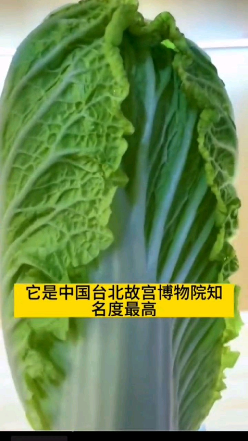 这可能是最昂贵的白菜-台北故宫翡翠白菜