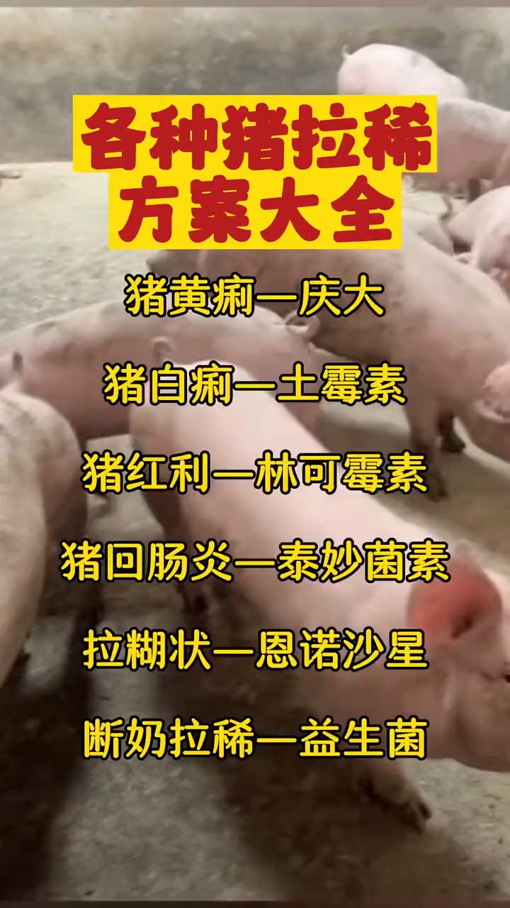 各种猪拉稀特效药,学会不用问兽医