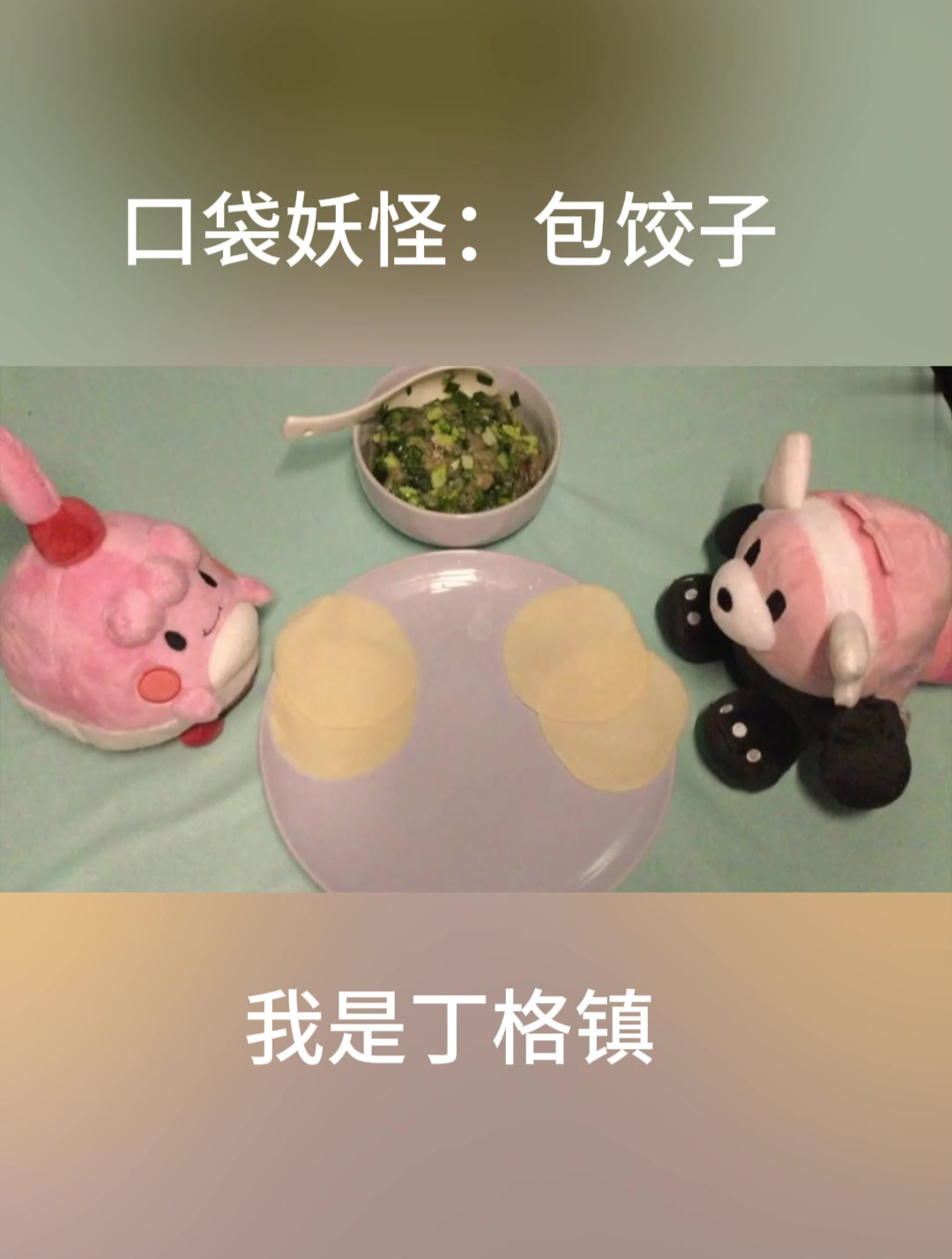 快过年了,大家一起包饺子吧