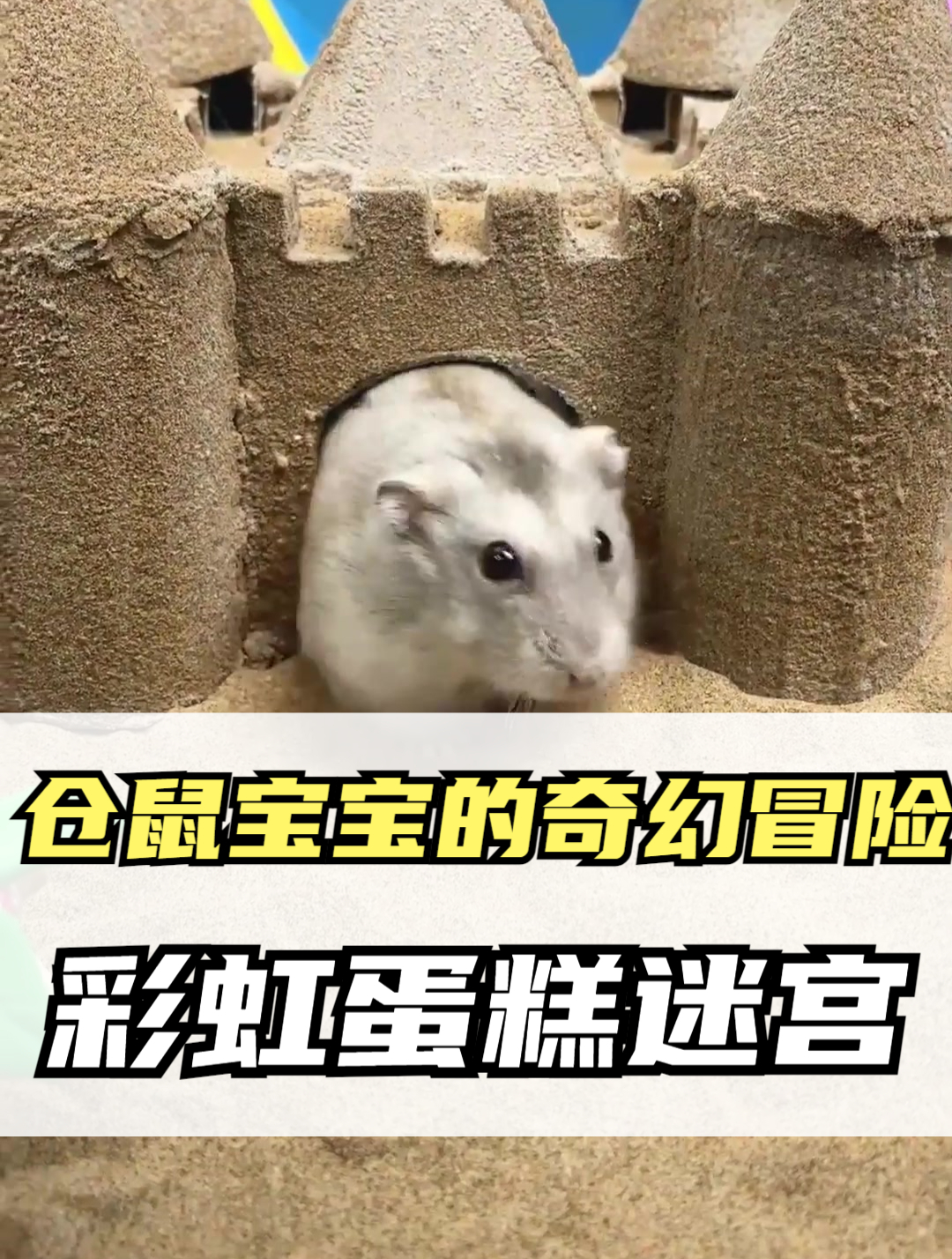 彩虹蛋糕大迷宫!