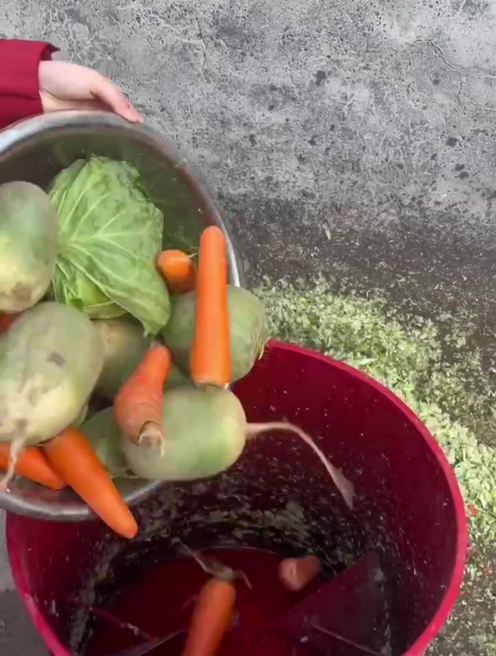 农民小伙又一新发明,蔬菜粉碎机,有了它再也不用人工粉碎了