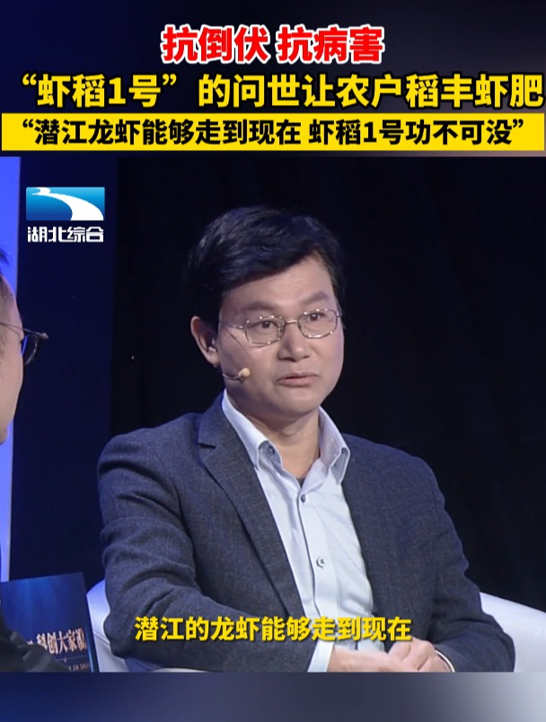 抗倒伏、抗病害,“虾稻1号”的问世让农户稻丰虾肥