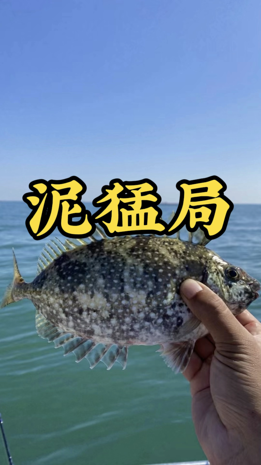 南海海钓泥猛鱼!狂口! 泥猛鱼太多跟本吃不完