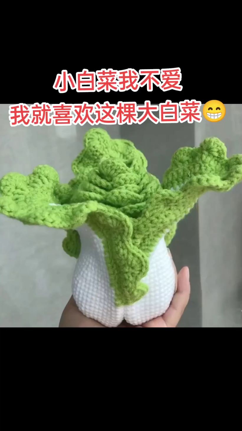 我不喜欢小白菜,就爱钩针编织这棵大白菜