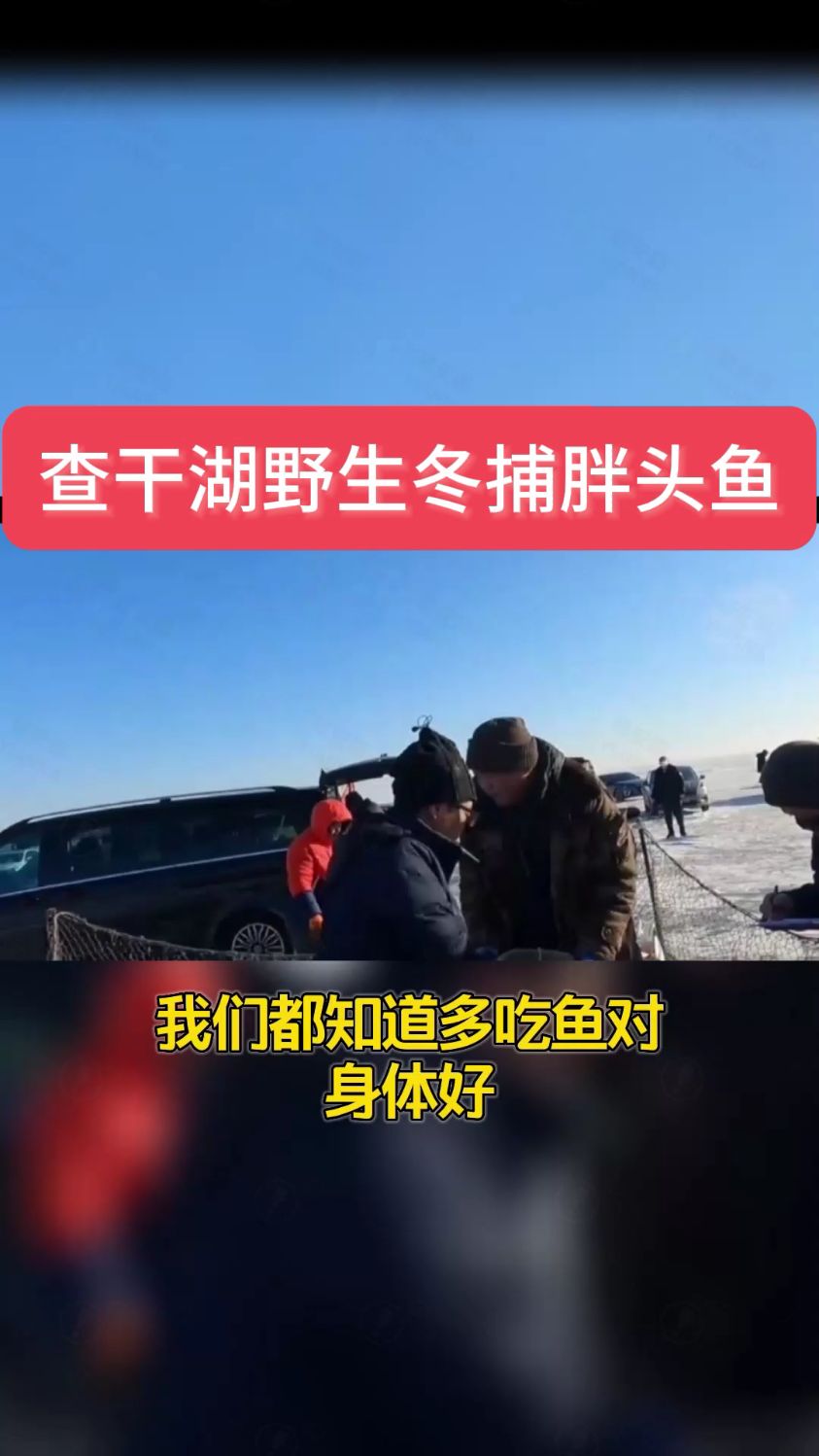 春节年夜饭推荐东北野生冬捕查干鱼,味道鲜美,满足你得口感!