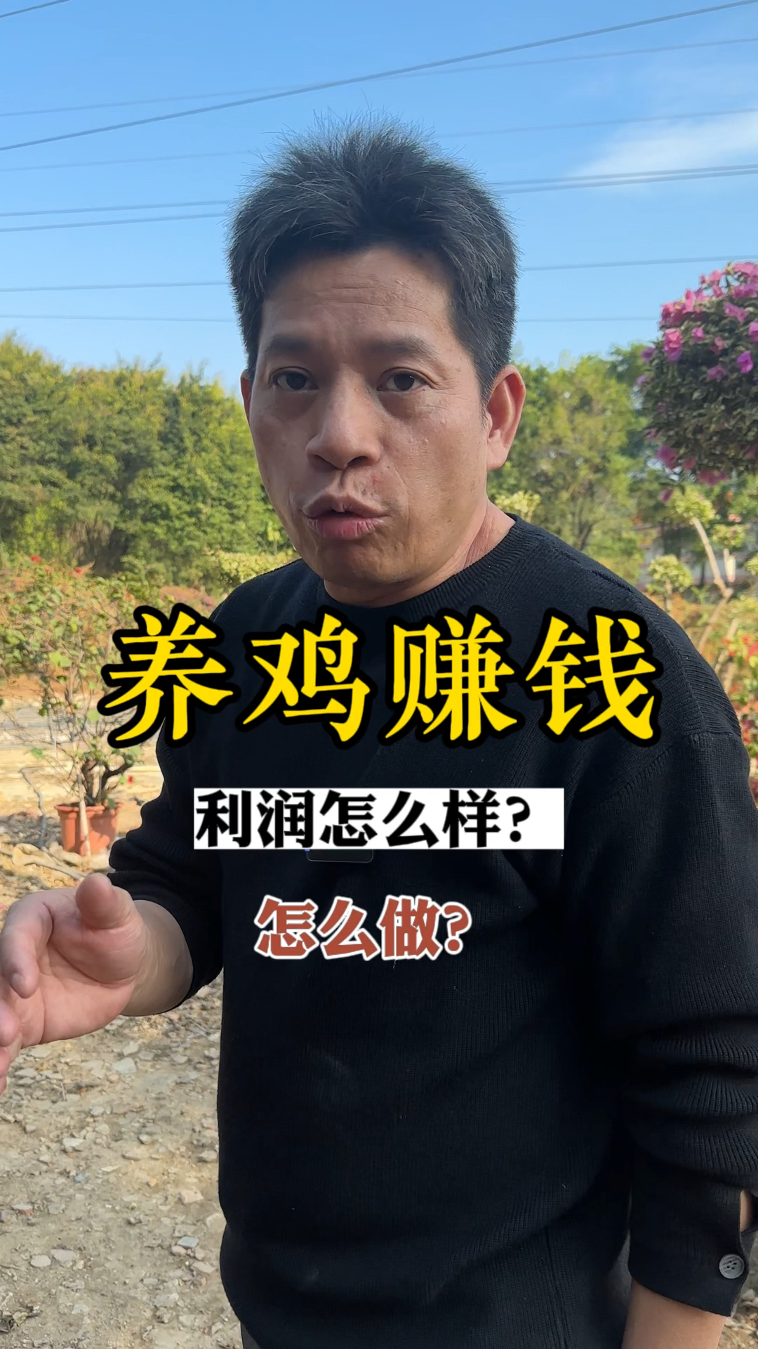 一天卖1000只鸡的散养走地鸡基地利润怎么样?#走地鸡 #赚钱 #行业