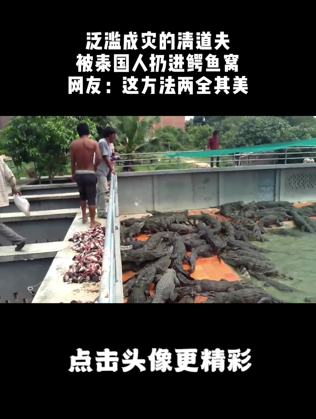 泛滥成灾的清道夫,被泰国人扔进鳄鱼窝,网友:这方法两全其美!