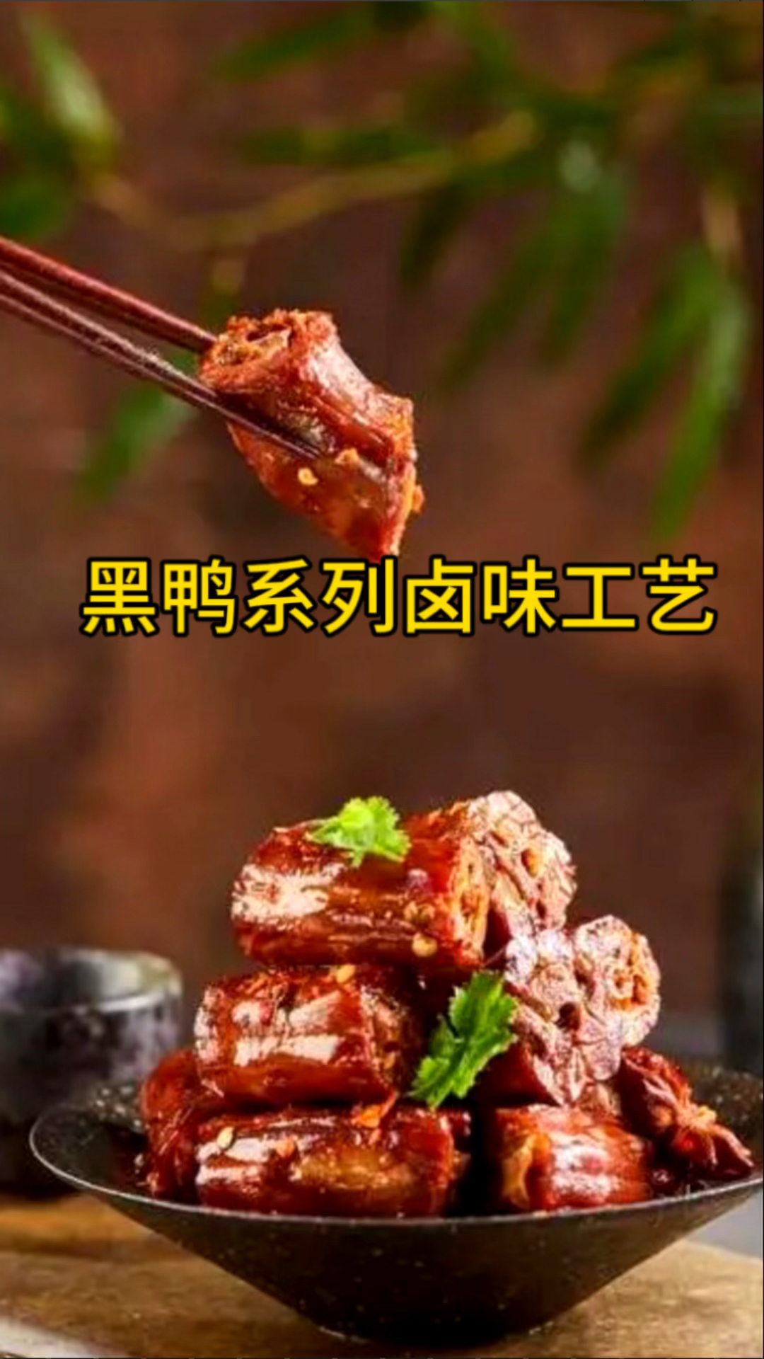 黑鸭系列卤味技术