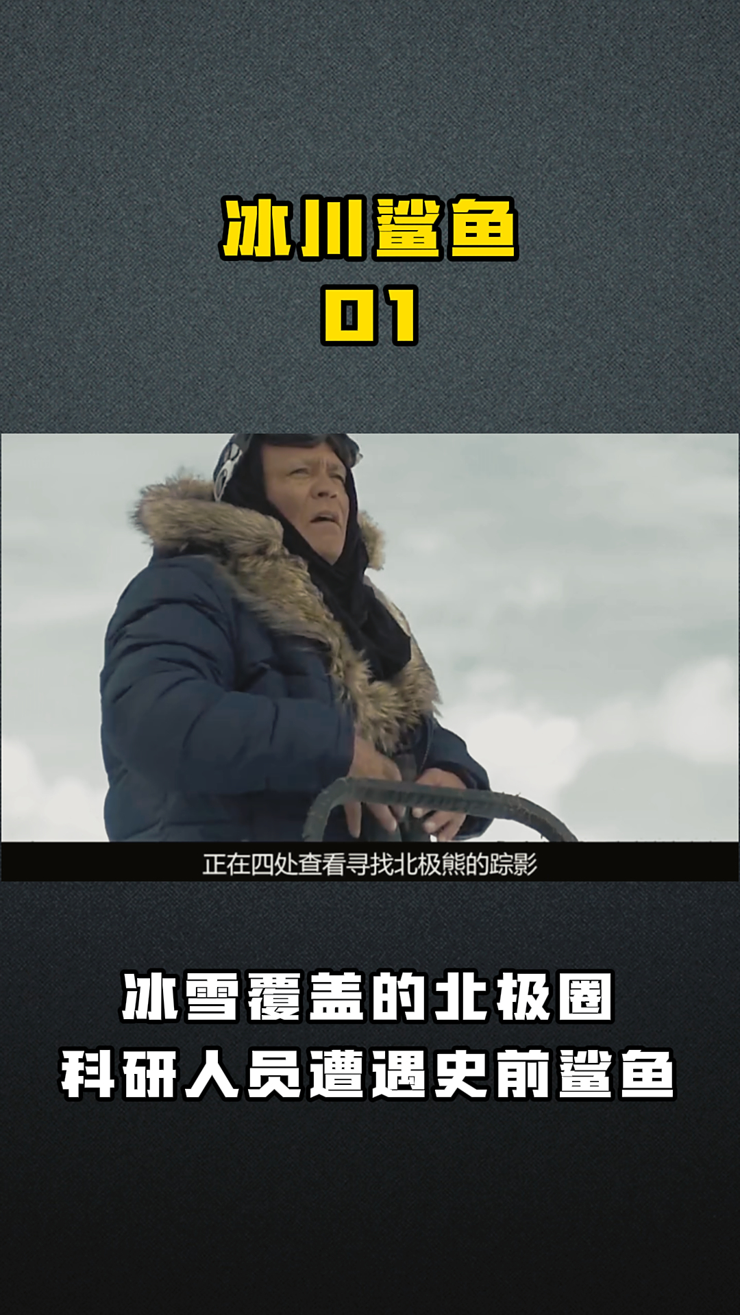 冰川鲨鱼01 冰雪覆盖的北极圈科研人员遭遇史前鲨鱼