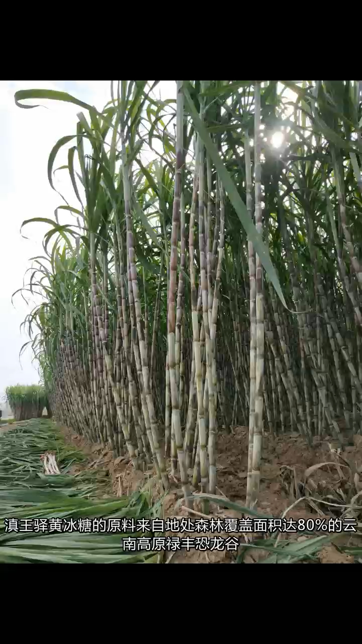 云南滇王驿黄冰糖