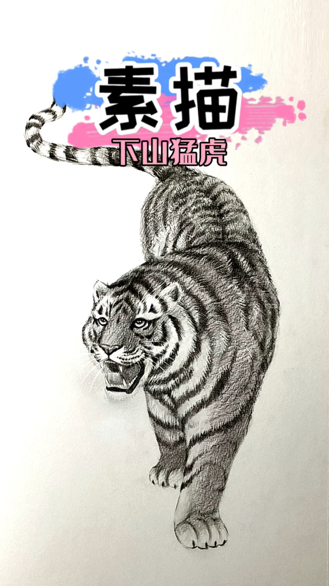 素描下山猛虎画法!一起来画一画～