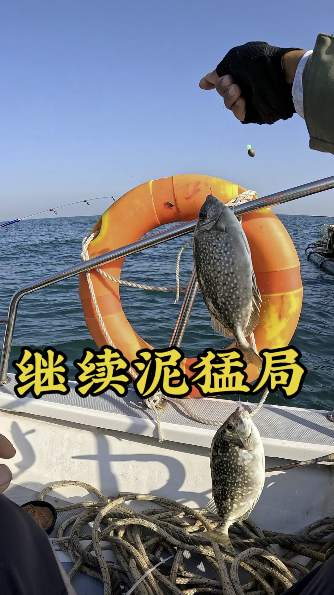 广西北海海钓泥猛鱼!鱼获多多