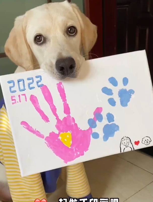 今天做一个很有意义的手印画,赶紧和你最爱的宝贝安排起来吧