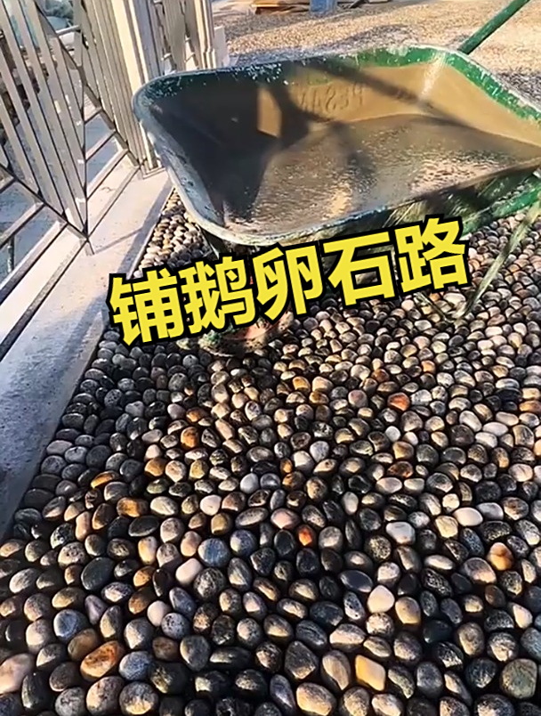 原来公园里的鹅卵石路是这样铺出来的