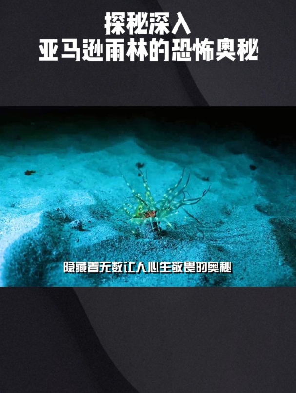 探秘深入亚马逊雨林的恐怖奥秘!