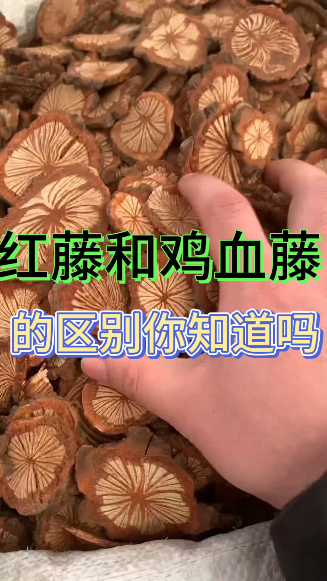 红藤和鸡血藤的区别你知道吗?