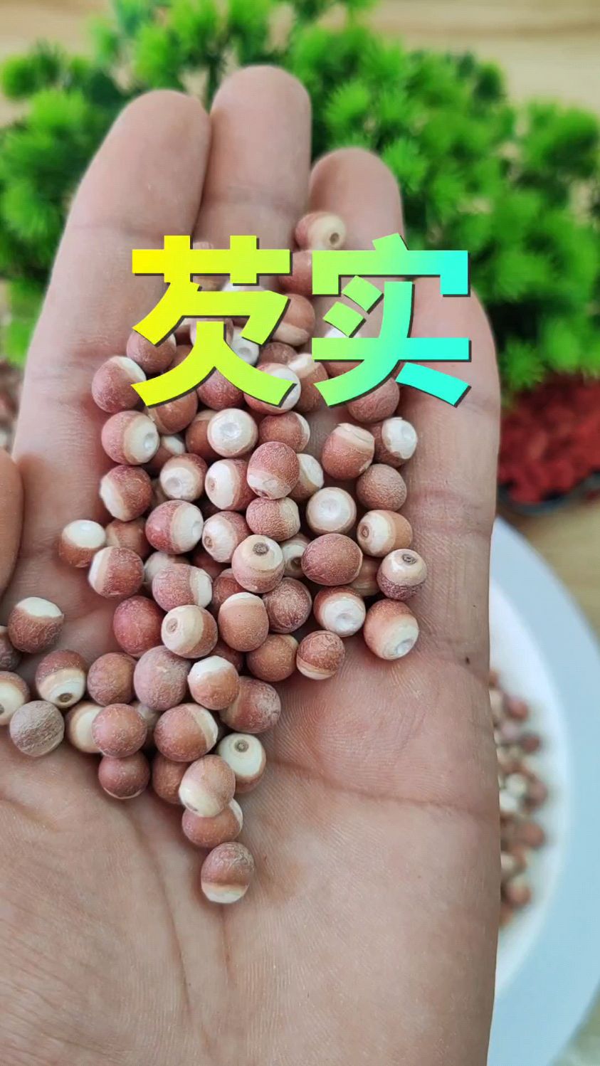 今天给大家分享,芡实