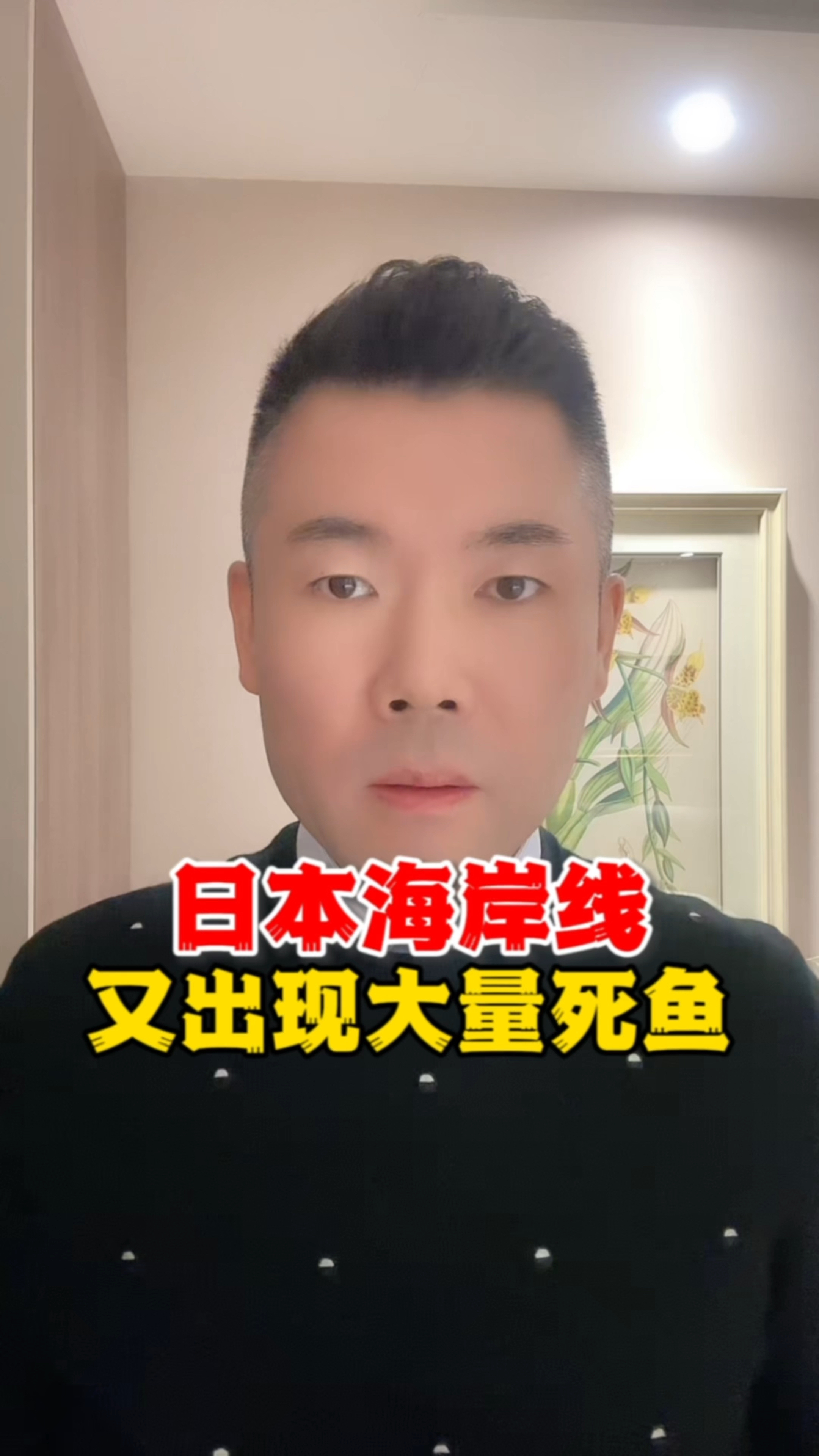 日本海岸线又出现大量死鱼