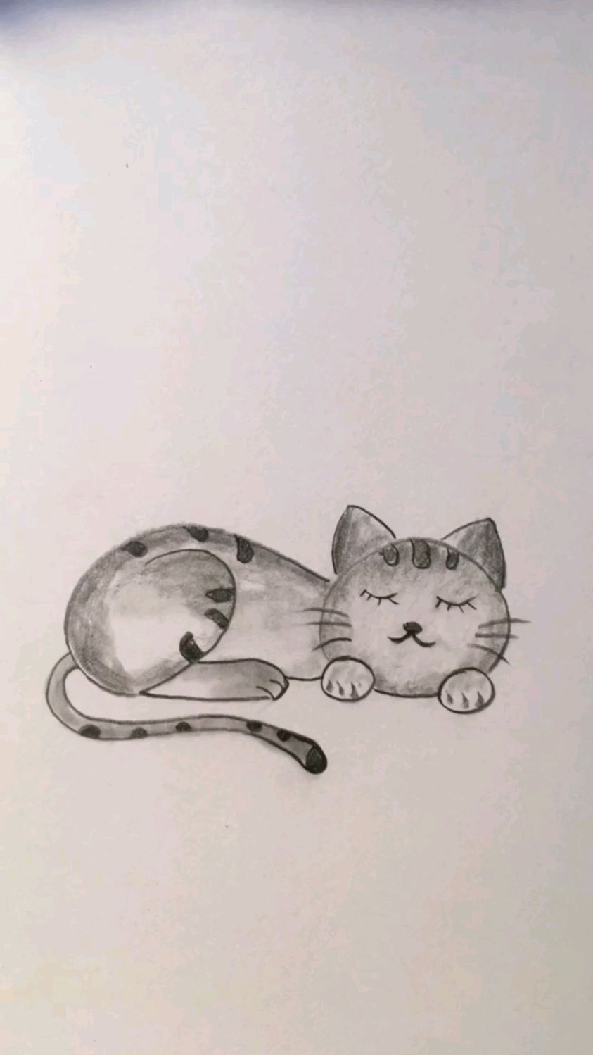 素描简笔画:教大家画睡觉的小猫咪