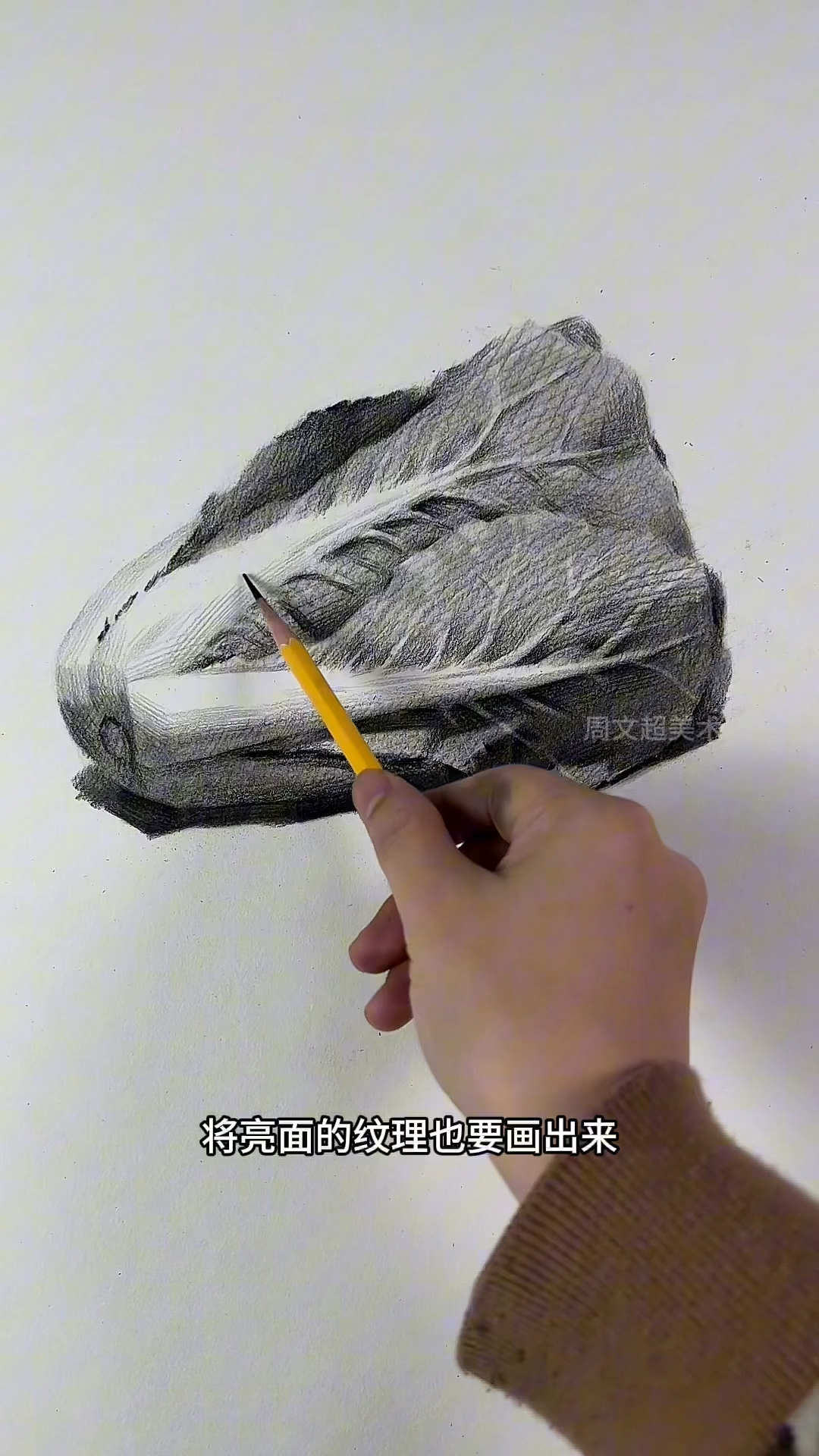 教你轻松学会小白菜画法