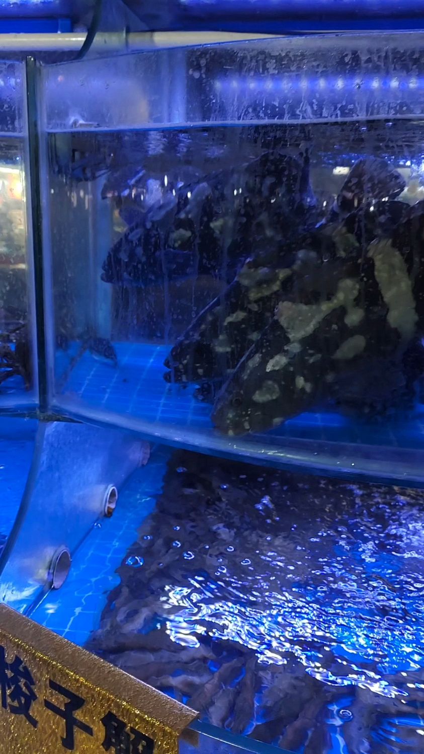 美容护肤之鱼老虎斑鱼