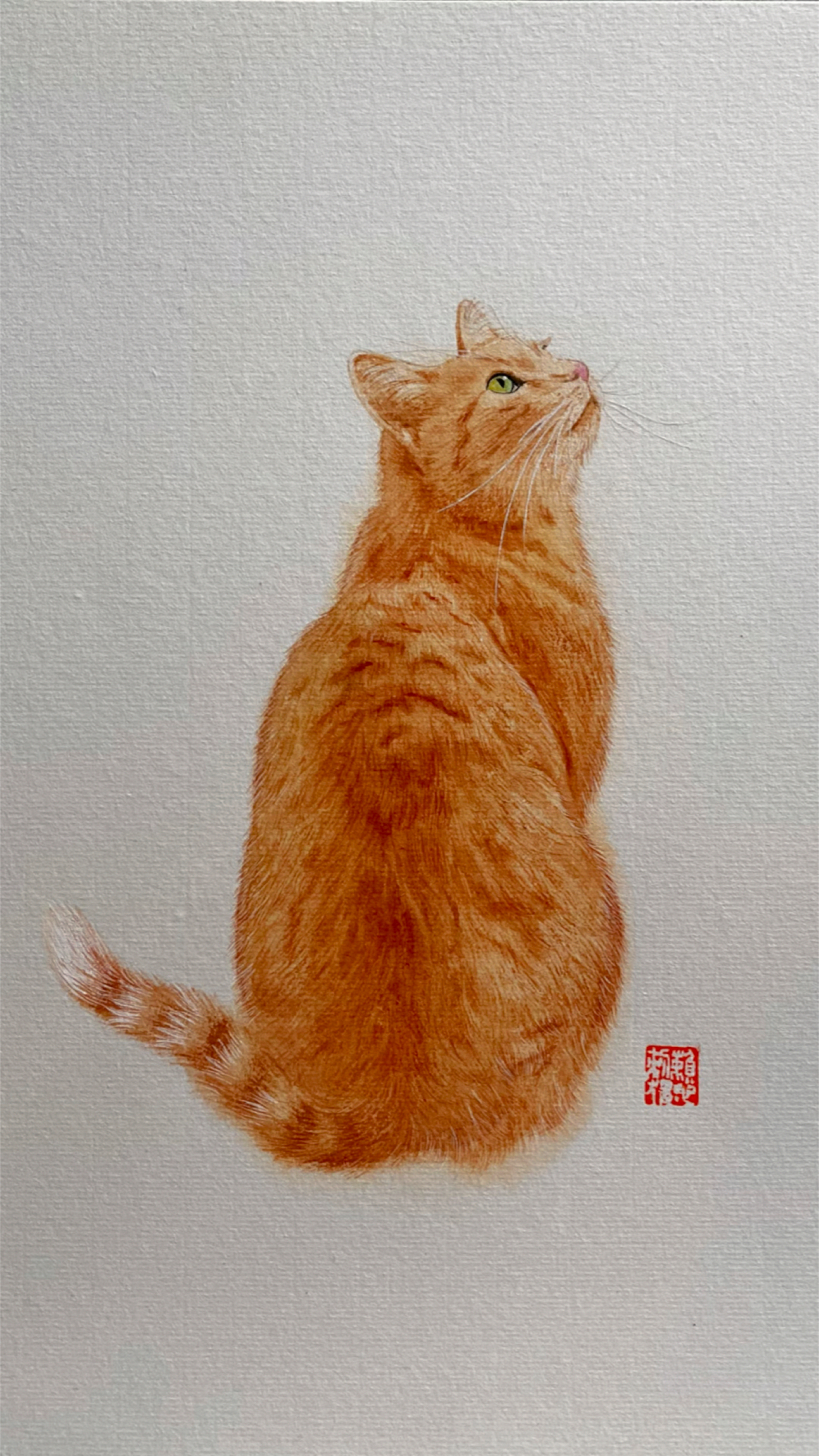 画橘猫 国画猫咪的画法