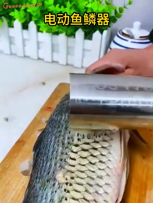 全自动刮鱼鳞机,刮鱼鳞轻松搞定,简单快速,不伤鱼皮不伤手