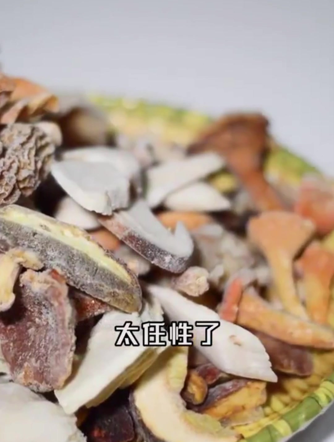 过年吃的油腻,这家野生菌一次性可以吃到各种菌