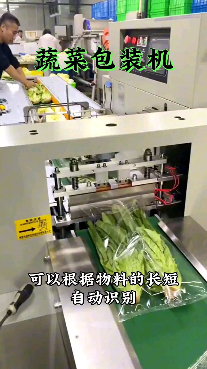 蔬菜包装机#包装机设备厂家