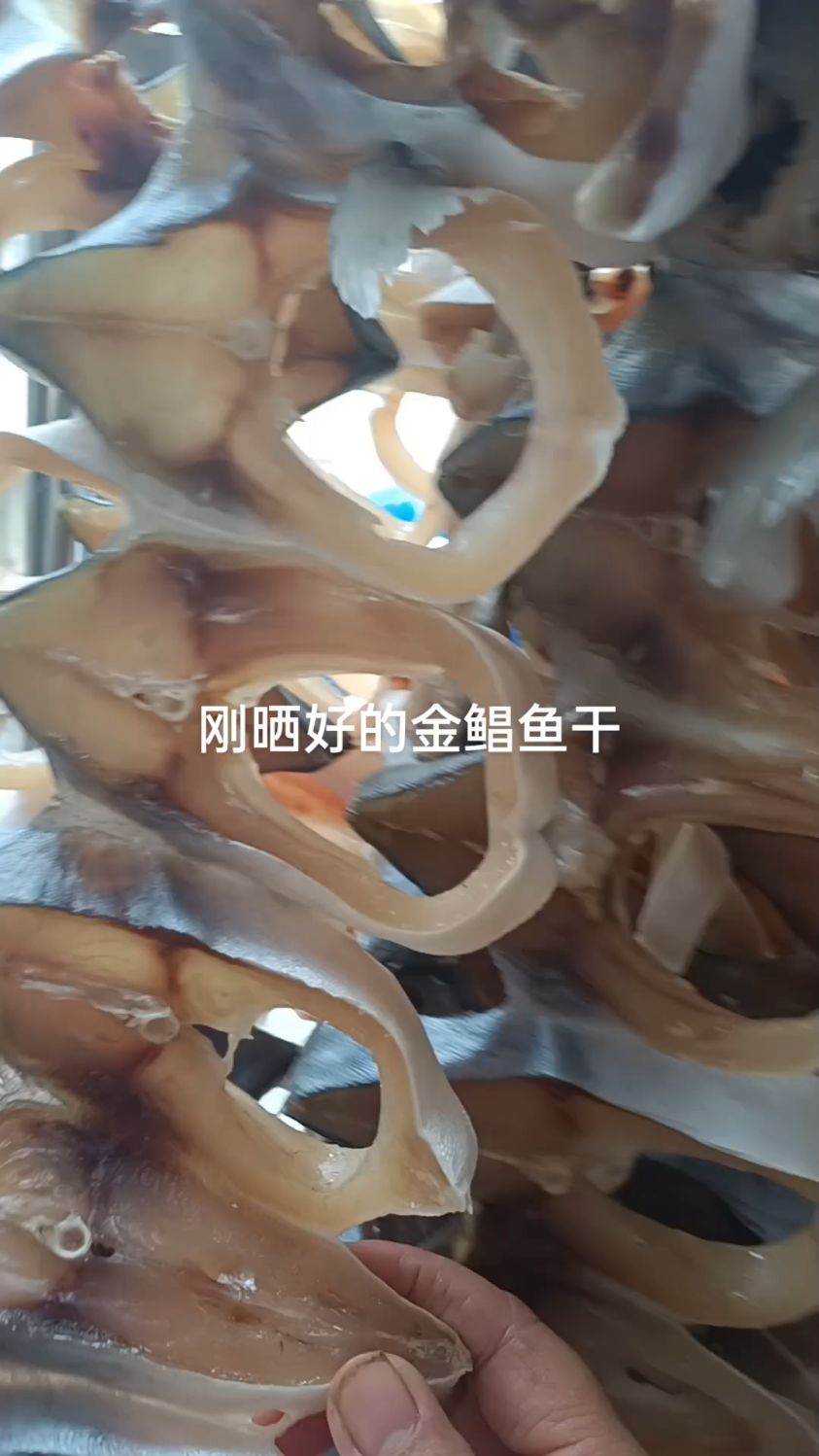 年快到了湛江特产金鲳鱼干许多人预备的年货,刚晒好的60条金鲳鱼干收回来打包