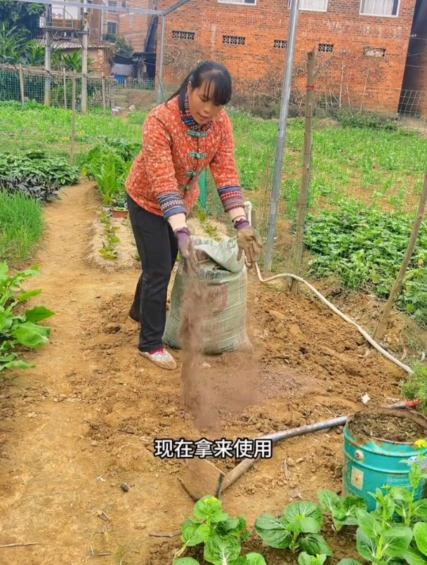 鸡粪肥,是自己发酵的好还是买的好?