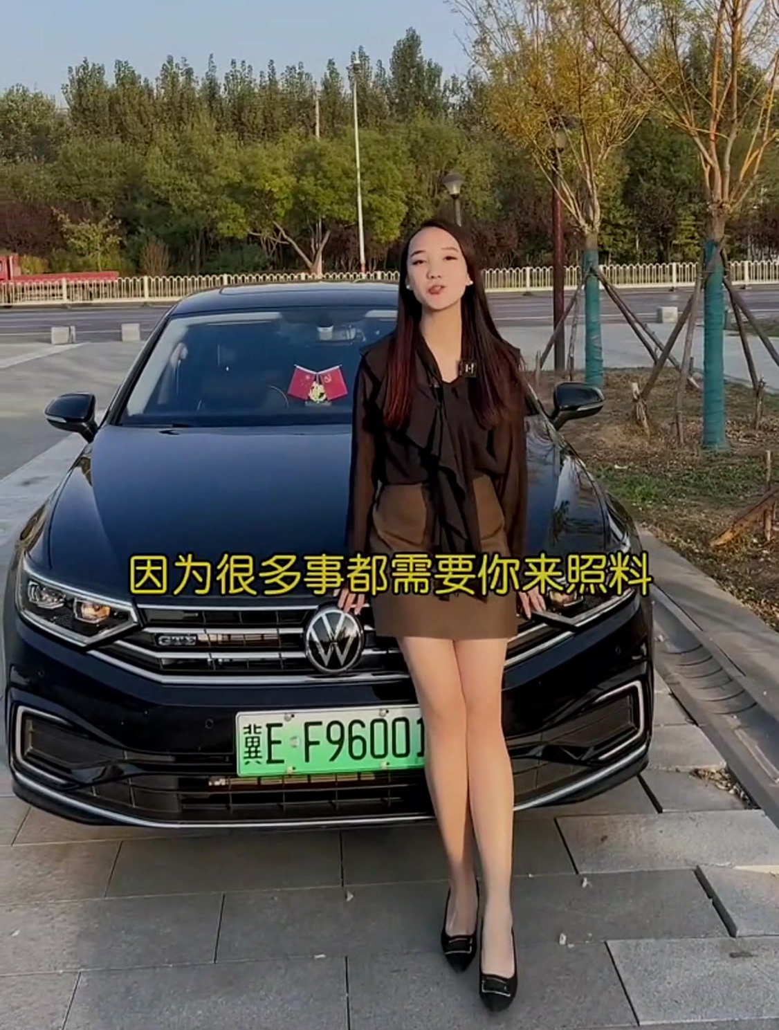 你开着迈腾往村口一停,饭桌上老丈人的酒杯端个不停