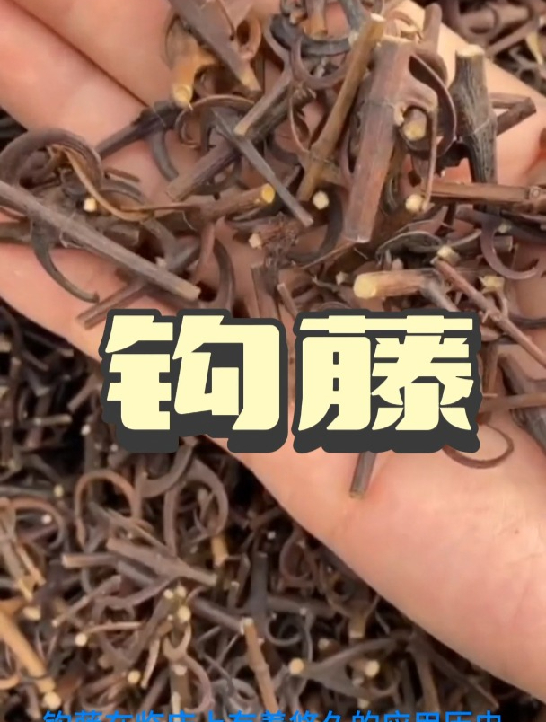 钩藤的作用和功效,欢迎家人们了解