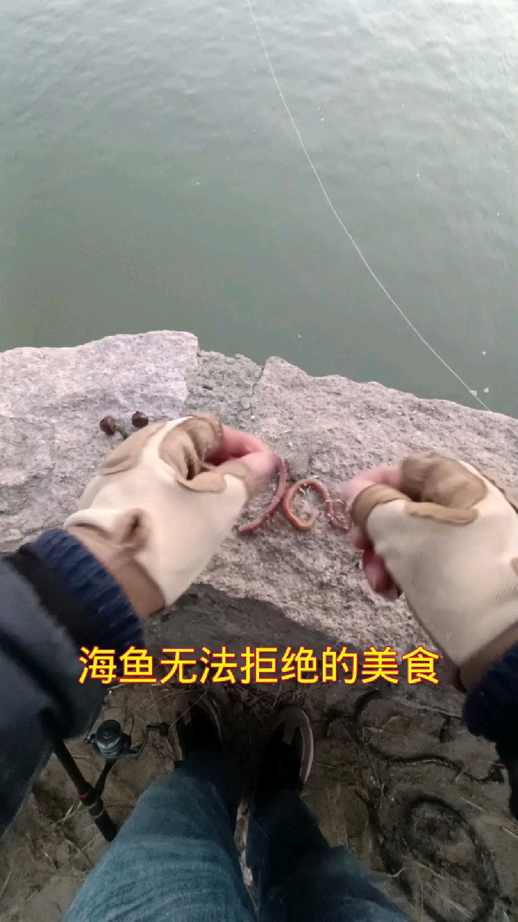 沉底钓海鲈鱼