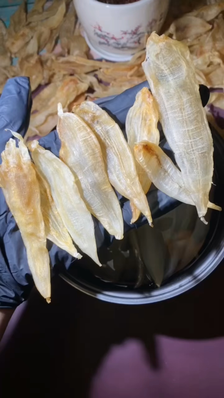 金龙鱼胶日常食用法:用空气炸锅把鱼胶炸好,放入冰箱冷水泡发,洗干净,用来焖 红烧