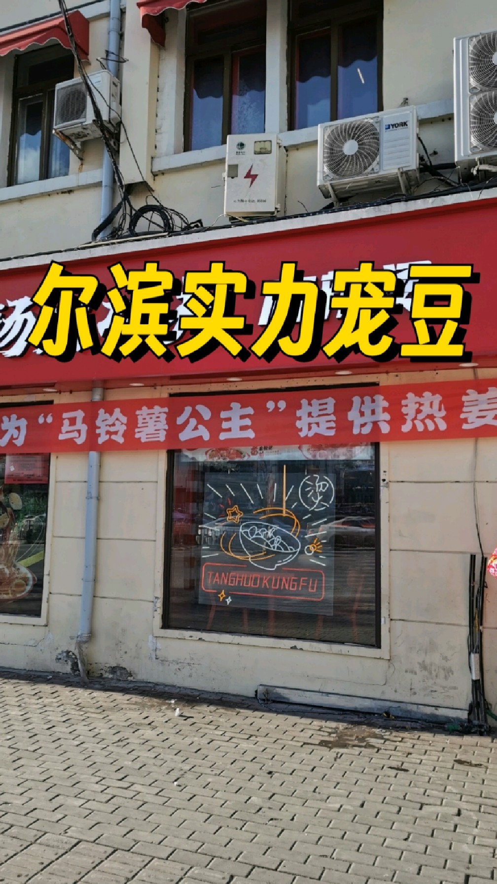 尔滨太宠南方小土豆了!