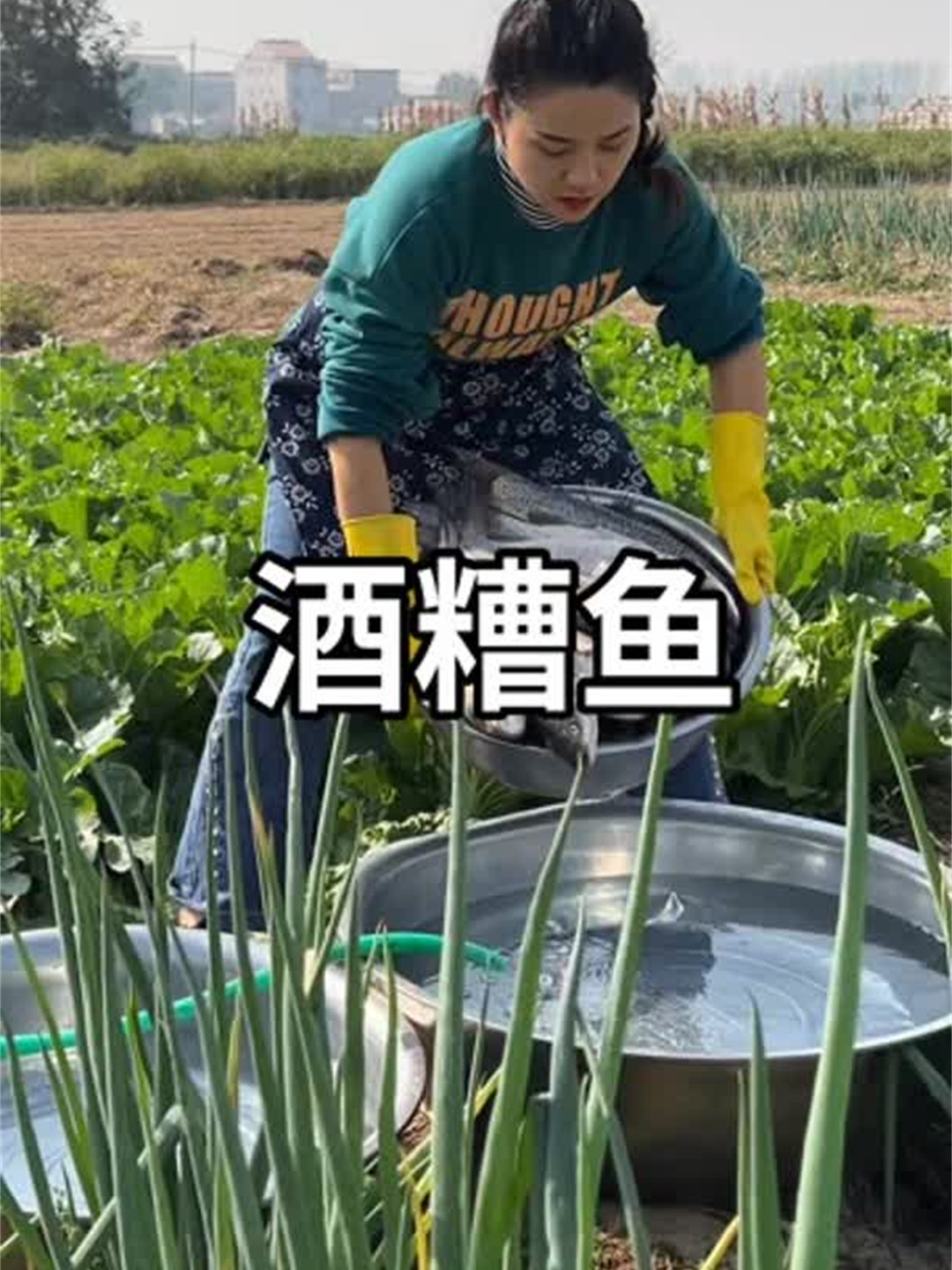 50斤草鱼,先晒后蒸……最后做成鲜嫩爽滑又劲道的酒糟鱼块,特下饭
