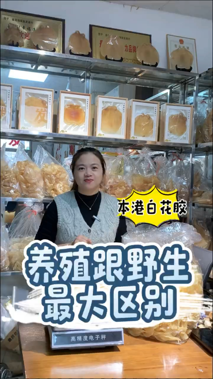女人必备鱼胶款——白花胶,本港养殖白花胶值得囤吗?