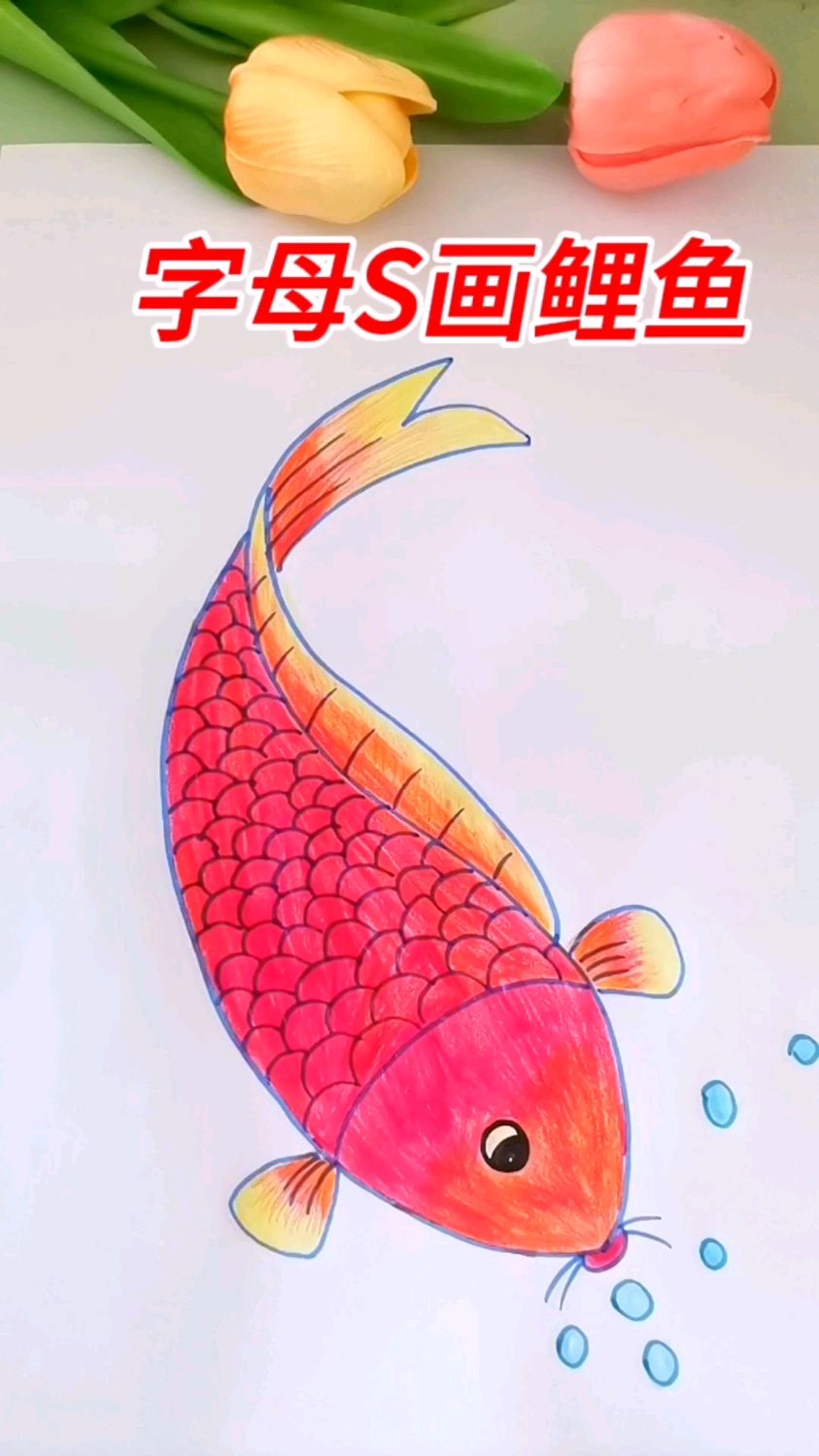 用字母S画简笔画大鲤鱼