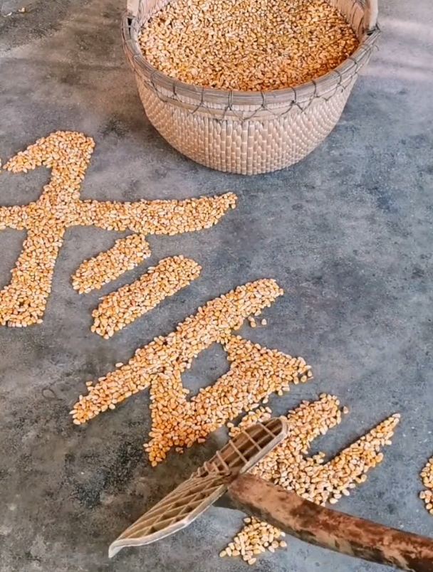 玉米画中国传统节日冬至饺子图